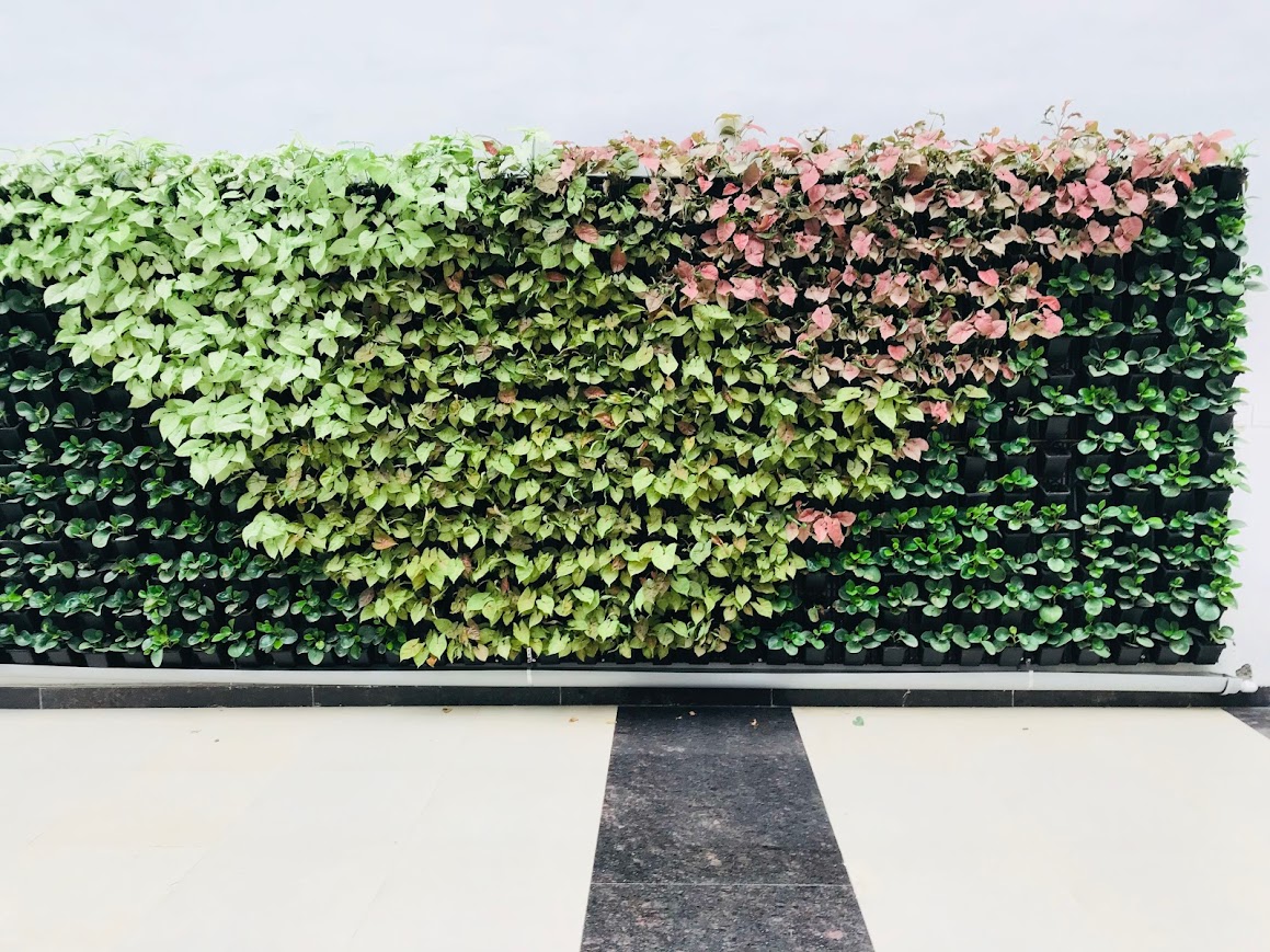 Vertical Gardens